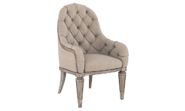 Picture of Etienne Natural Gray Upholstered Arm Chair