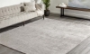 Picture of Lodhi Silver 5' x 8' Rug