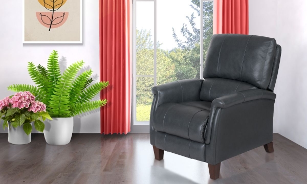 Picture of Smoke Recliner