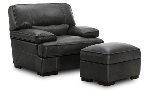 Picture of Kipling Gray Leather Armchair
