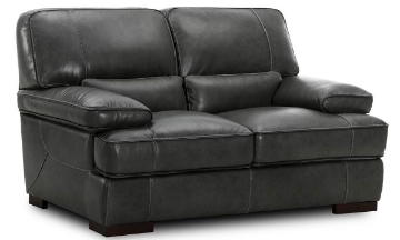Picture of Kipling Gray Leather Loveseat