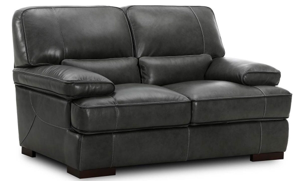 Picture of Kipling Gray Leather Loveseat