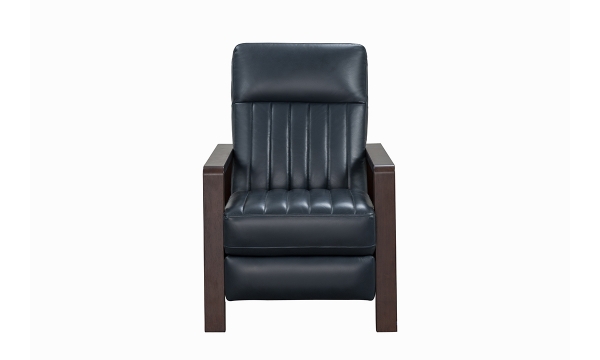 Picture of Ivy Blue Leather Recliner