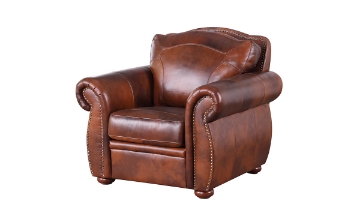 Picture of Arizona Brown Leather Chair