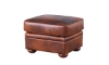 Picture of Arizona Brown Leather Rectangle Ottoman