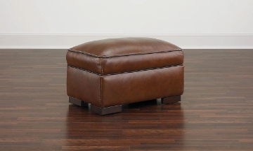 Picture of Kipling Brown Leather Ottoman