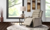 Picture of Catnapper Alec Bamboo Power Lift Recliner