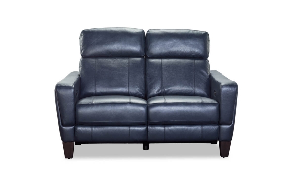 Picture of Lakeside Navy Leather Power Loveseat