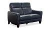 Picture of Lakeside Navy Leather Power Loveseat
