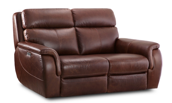 Picture of Dryden Chocolate Leather Power Loveseat