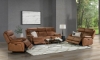 Picture of Teramo Saddle Power Recliner