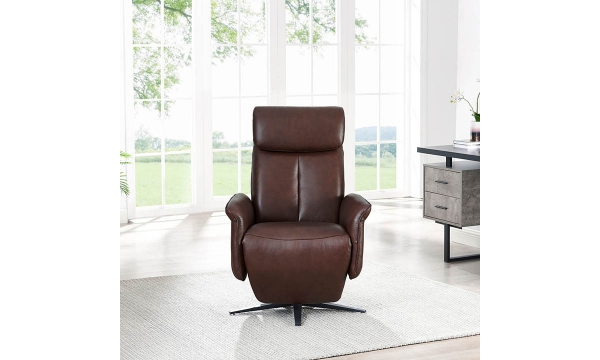 Picture of Tulip Raisin Leather Power Recliner