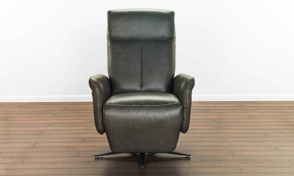 Picture of Tulip Concord Gray Leather Power Recliner