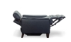Picture of Lakeside Navy Leather Power Recliner