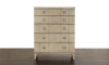 Picture of Miles Walnut Storage Chest