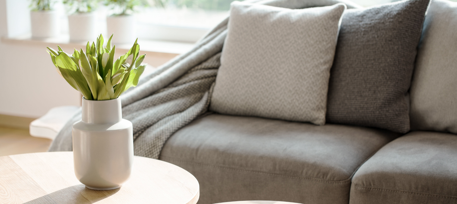 Couch Image